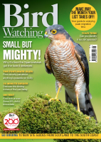 Bird_Watching_UK_05_2025_f.pdf